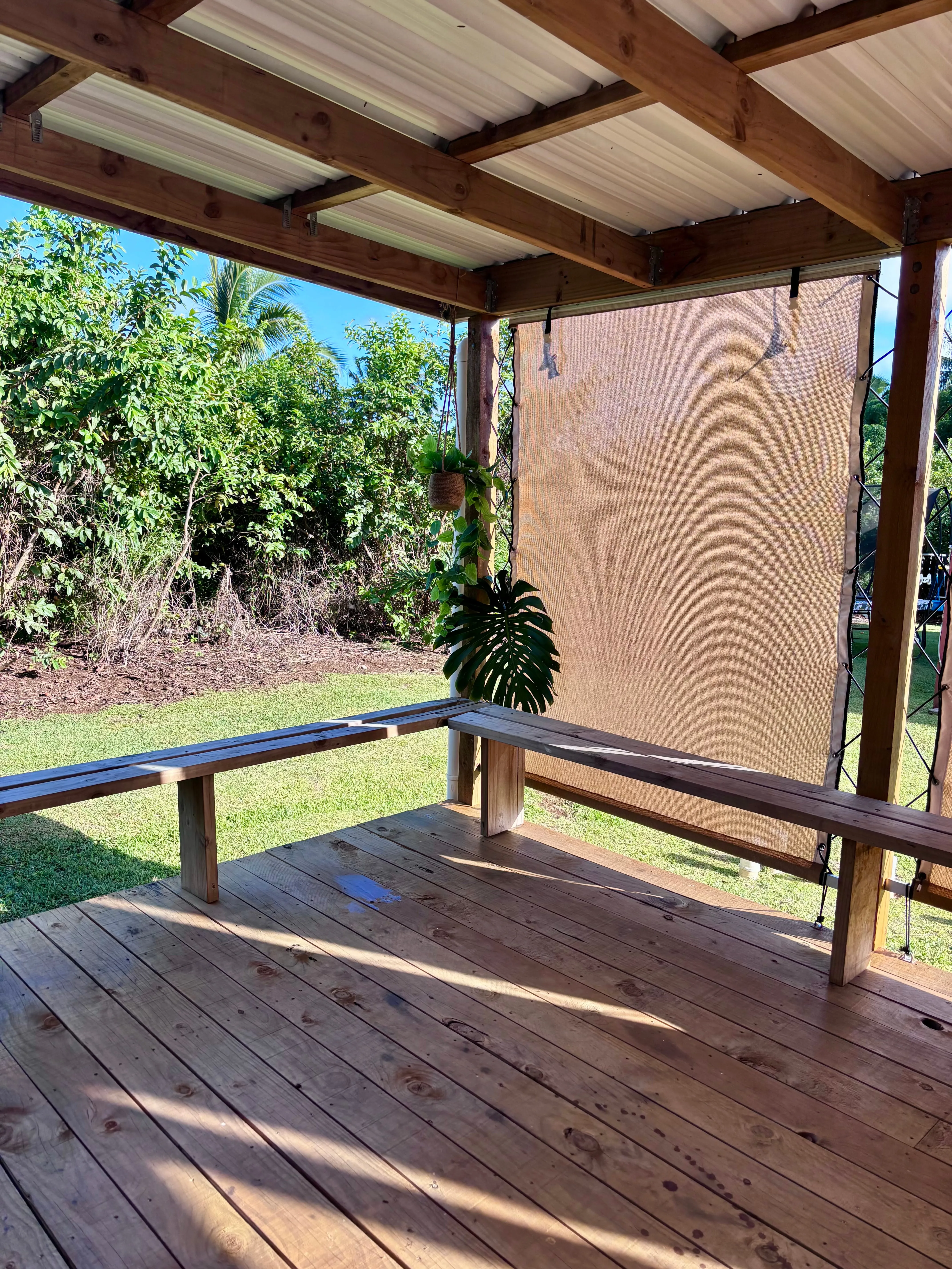 Te-ropical Te-lightz - Image 6