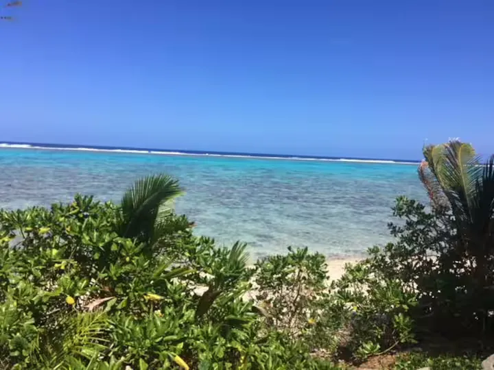 Tavake Beachfront Bungalow - Image 4