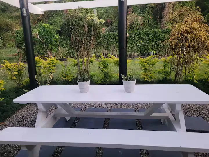 Are Ariki - Image 15