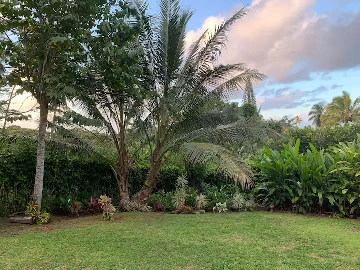 Teiana's Retreat - Image 21