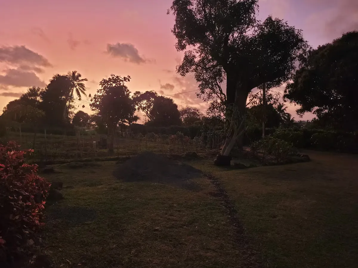 Are Ariki - Image 18