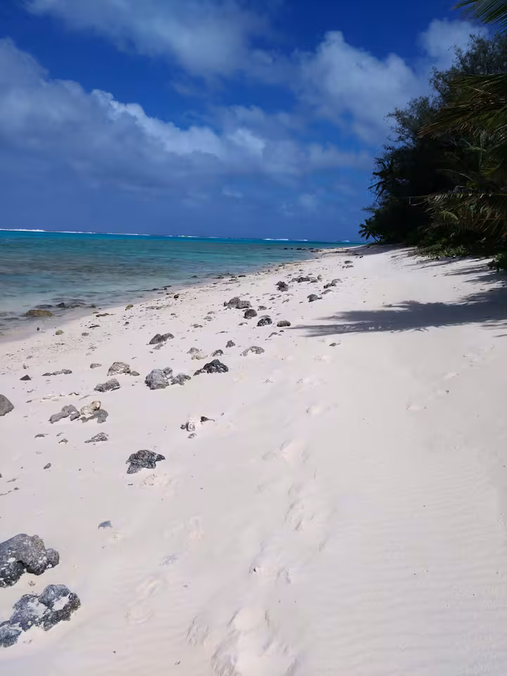 Tavake Beachfront Bungalow - Image 3
