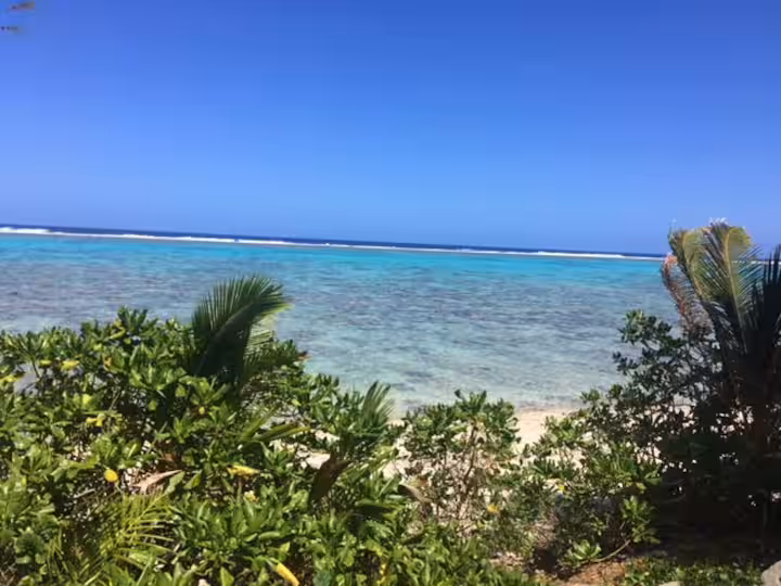 Tavake Beachfront Bungalow - Image 4