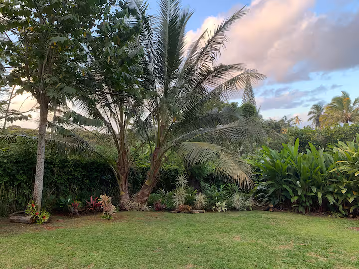 Teiana's Retreat - Image 24