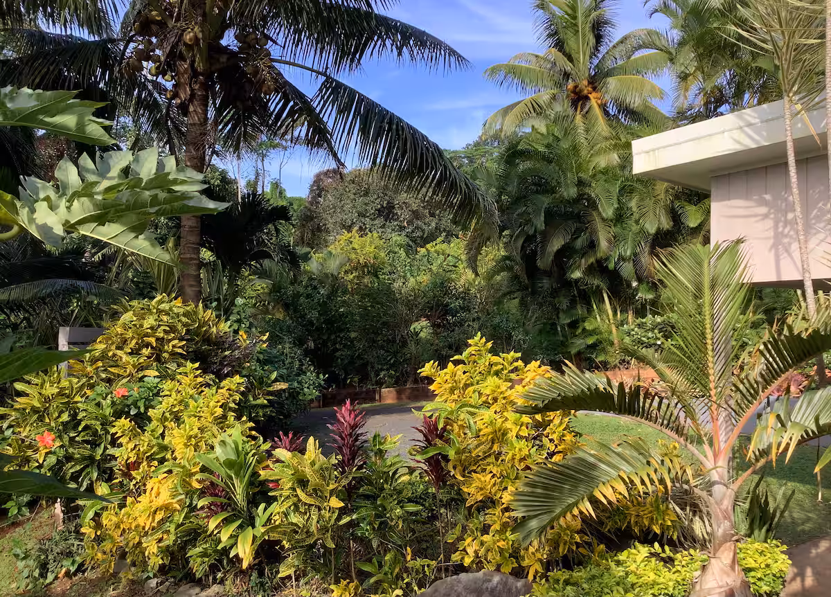 Teiana's Retreat - Image 25